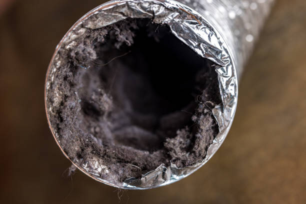 Best Commercial Air Duct Cleaning  in Lake San Marcos, CA